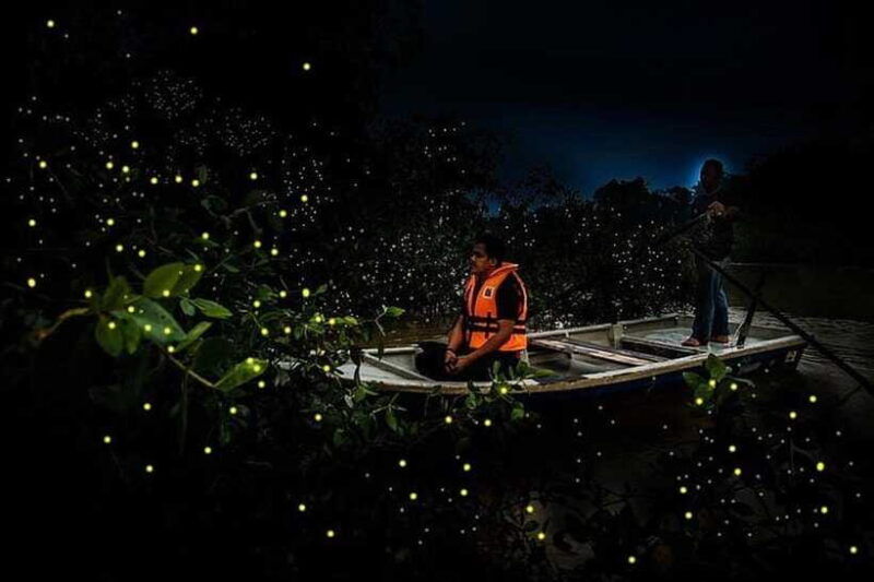 kuala-lumpur-fireflies-tour-with-dinner-and-hotel-pickup