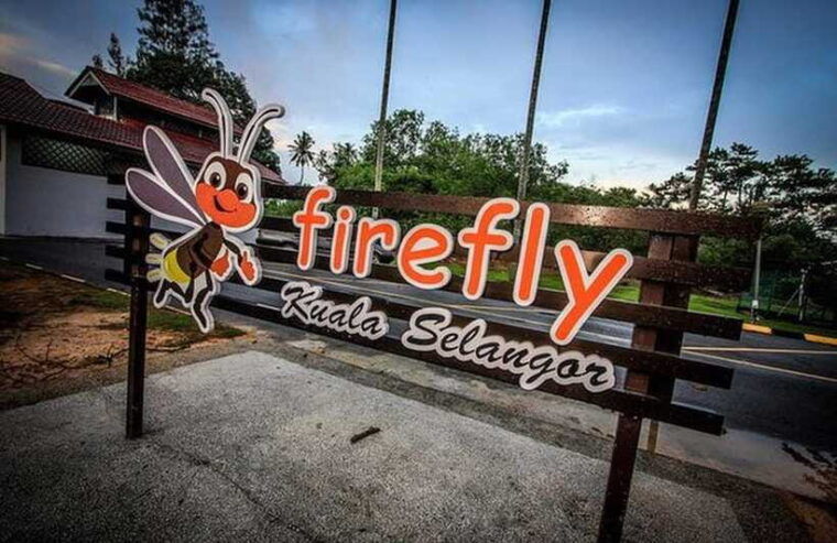 kuala-lumpur-fireflies-tour-with-dinner-and-hotel-pickup