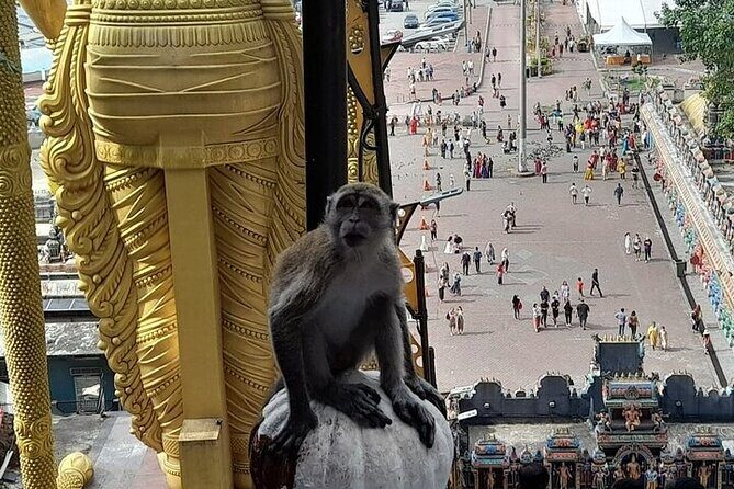 Kuala Lumpur Full Day City Tour Cruise Excursion from Port Klang - The Sum Up: Who Will Love This Tour?