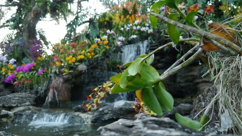 Kuala Lumpur: Sightseeing Pass - Comparing Value and Costs