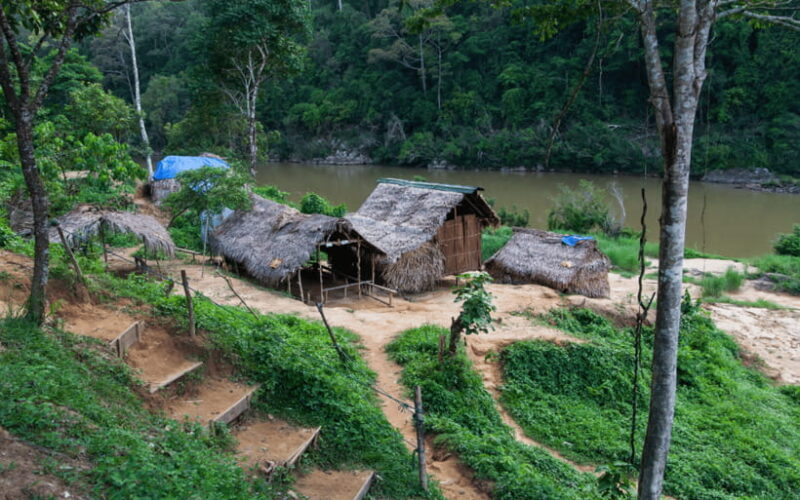 Kuala Lumpur: Taman Negara National Park Teras Waterfall - Who Will Love This Tour?