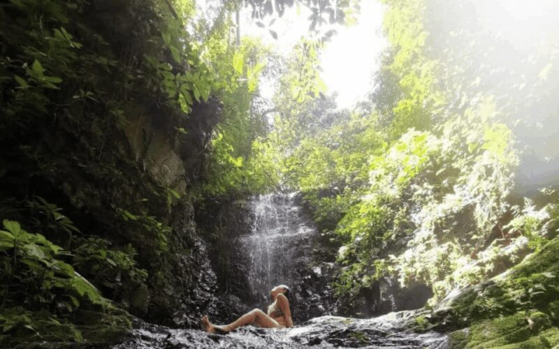 Kuala Lumpur: Taman Negara National Park Teras Waterfall - Final Thoughts