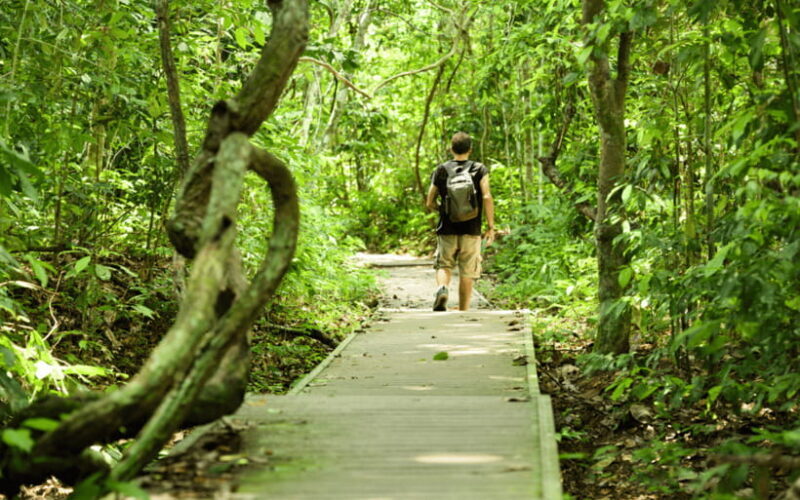Kuala Lumpur: Taman Negara National Park Teras Waterfall - FAQ