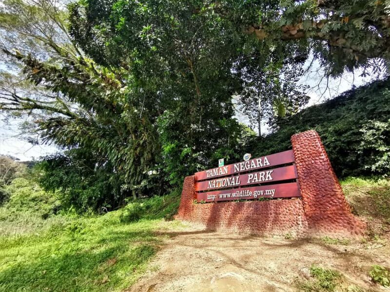 Kuala Lumpur: Taman Negara Tour w/Lata Berkoh Falls & Lunch - The Real Experience: What You Should Know