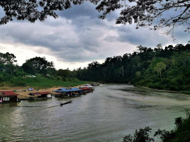 Kuala Lumpur: Taman Negara Tour w/Lata Berkoh Falls & Lunch - Who Will Love This Tour?