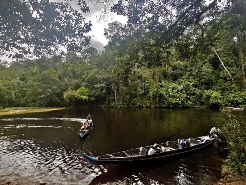 Kuala Lumpur: Taman Negara Tour w/Lata Berkoh Falls & Lunch - Final Thoughts