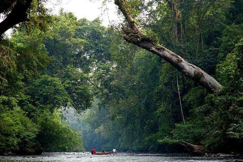 Kuala Lumpur: Taman Negara Tour w/Lata Berkoh Falls & Lunch - FAQ