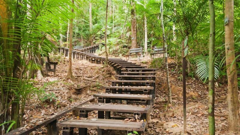 Kuala Lumpur: Taman Negara Tour w/Lata Berkoh Falls & Lunch - Final Word
