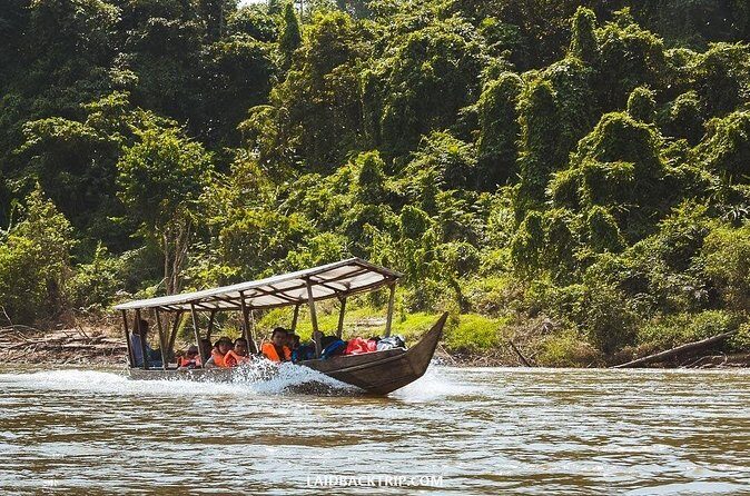 Kuala Lumpur to Taman Negara Shuttle - The Value of This Shuttle Service