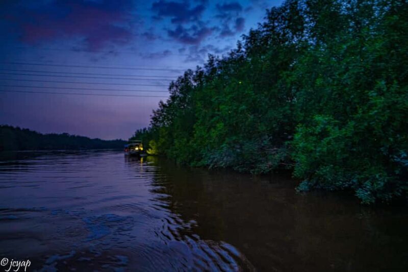 Kuala Selangor: Eagles, Fireflies & Blue Tears Boat Tour - Key Points