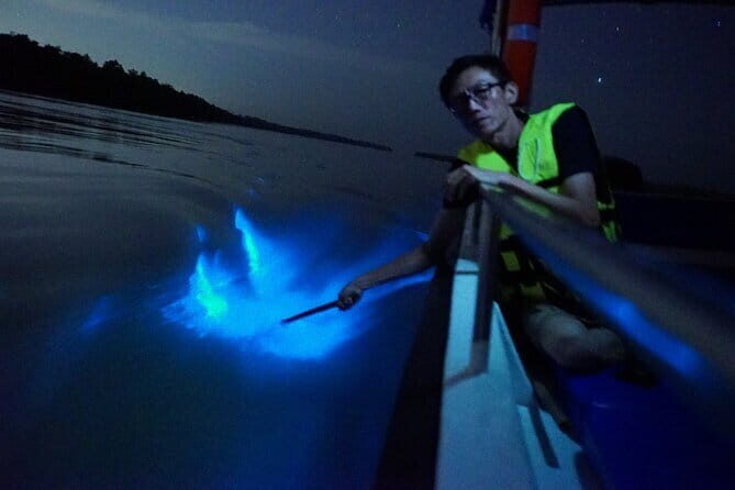 Kuala Selangor Fireflies and Blue Tears Tour with Dinner (SIC) - An In-Depth Look at the Experience