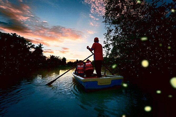 Kuala Selangor Fireflies Tour (Special Deal) - Key Points