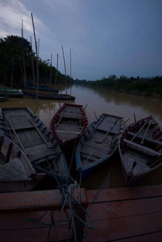 kuala-selangor-firefly-and-blue-tears-tour
