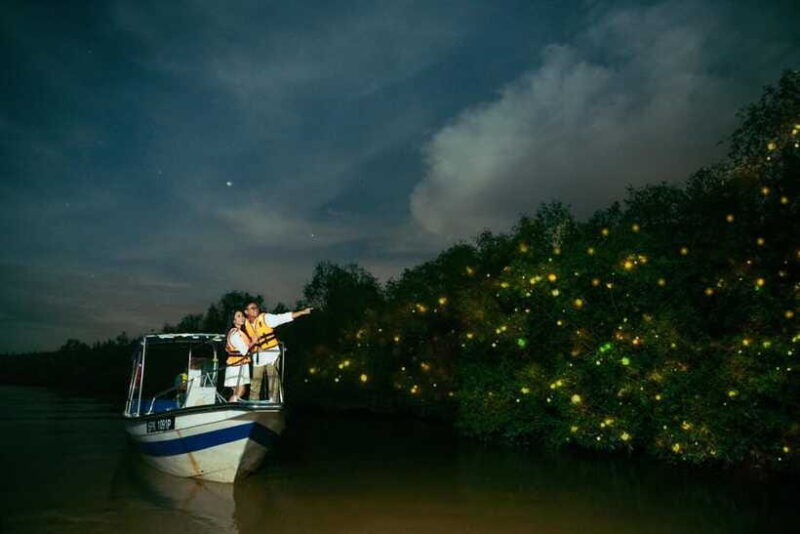 kuala-selangor-firefly-and-blue-tears-tour