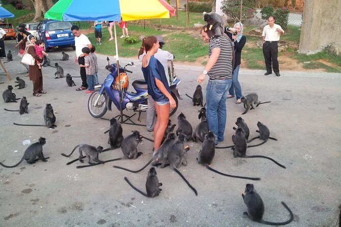 Kuala Selangor Firefly & Batu Caves Tour include Dinner+Boat-Ride - The Sum Up