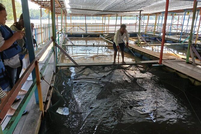 Kuala Sepetang Private Day Tour From Ipoh - FAQ