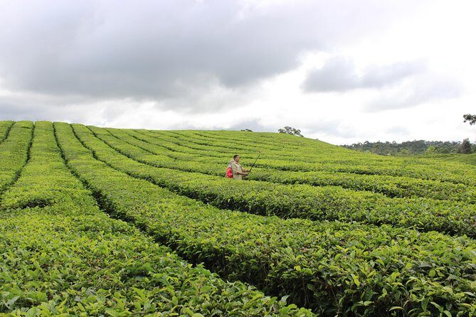 Kualanamu Airport Shutle - Key Points