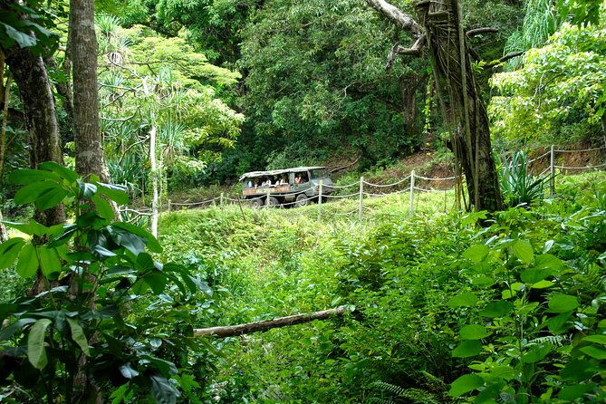 kualoa-ranch-jungle-expedition-tour