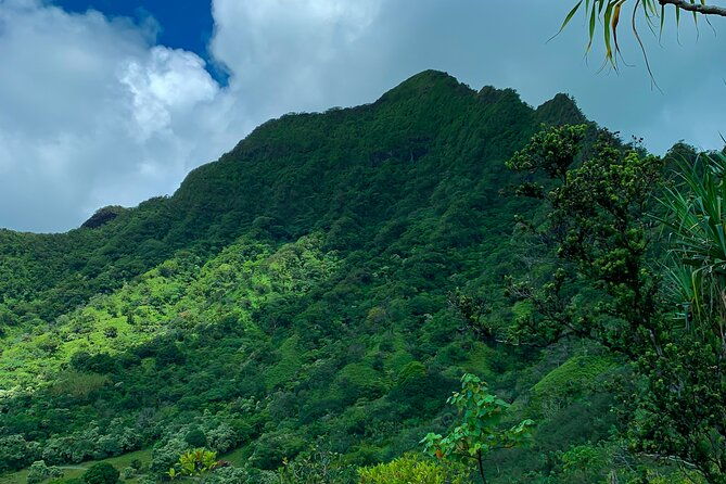 kualoa-ranch-jungle-expedition-tour