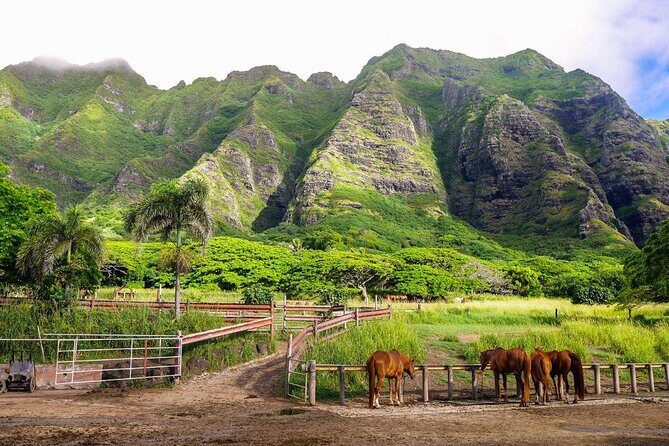 Kualoa Ranch Jurassic Adventure Tour - Intro: What to Expect from the Jurassic Adventure Tour