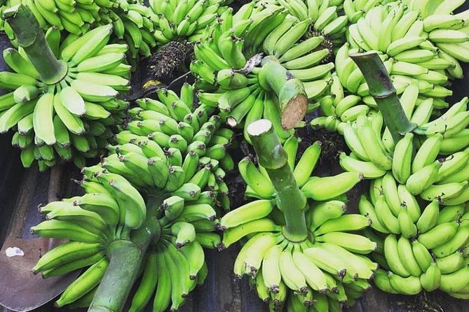 kualoa-ranch-kualoa-grown-tour-2