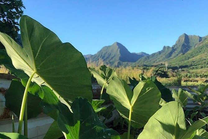 kualoa-ranch-kualoa-grown-tour