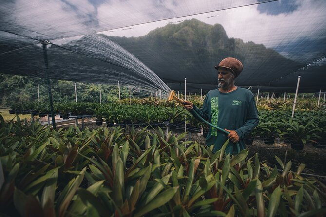 kualoa-ranch-kualoa-grown-tour