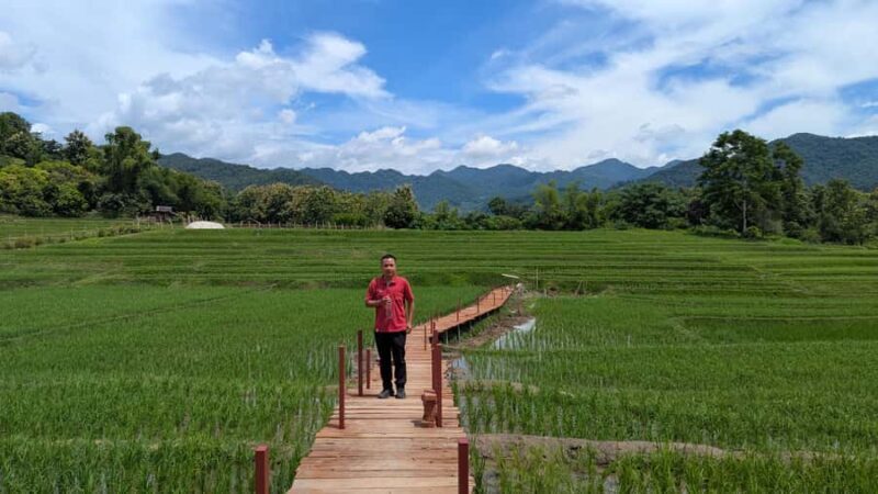 Kuang Si Falls, Forest Easy Hike & Mekong Sunset Cruise - Exploring the Kuang Si Falls, Forest Easy Hike & Mekong Sunset Cruise Experience