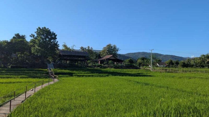 Kuang Si Falls, Forest Easy Hike & Mekong Sunset Cruise - Final Thoughts