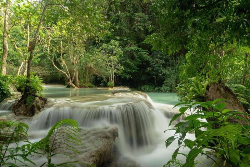 kuang-si-waterfall-tree-top-cafe-ziplining