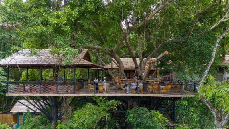 kuang-si-waterfall-tree-top-cafe-ziplining