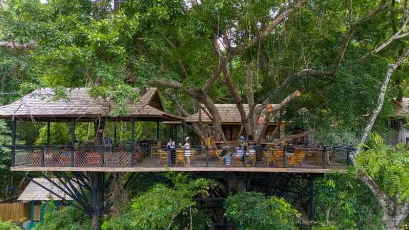 kuang-si-waterfall-tree-top-cafe-ziplining