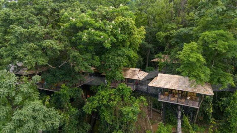 kuang-si-waterfall-tree-top-cafe-ziplining