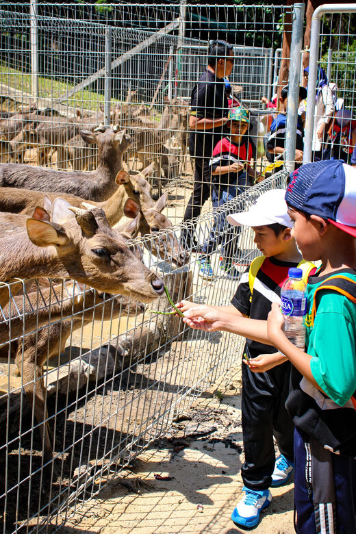 Kuantan: Zoo Teruntum Ticket - Who Should Visit?