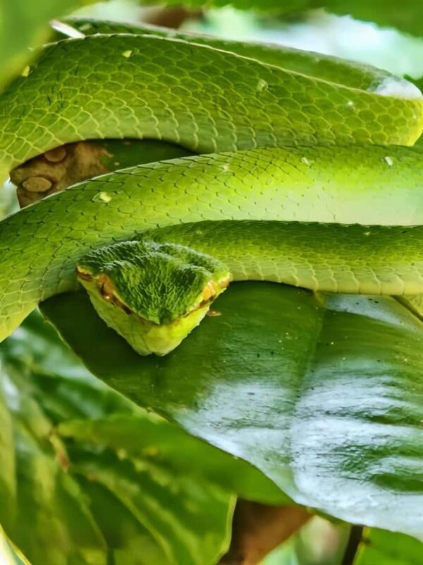 Kuching: 3 Day Adventure Tour - FAQ