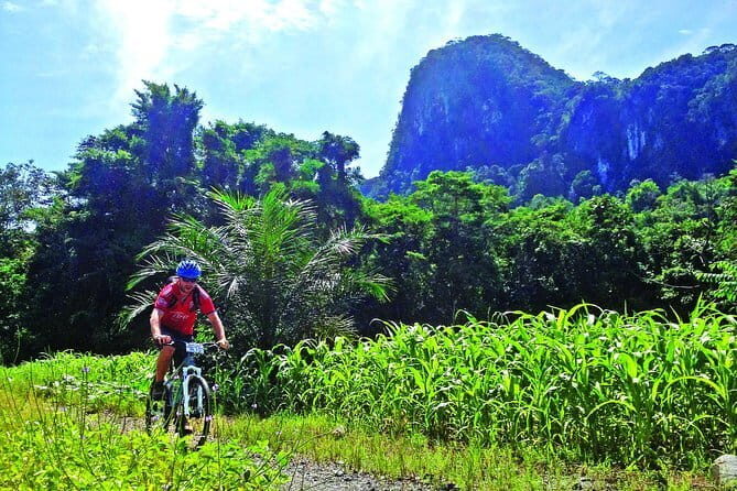 Kuching Airport Transfer-Departure - The Ride: What to Expect