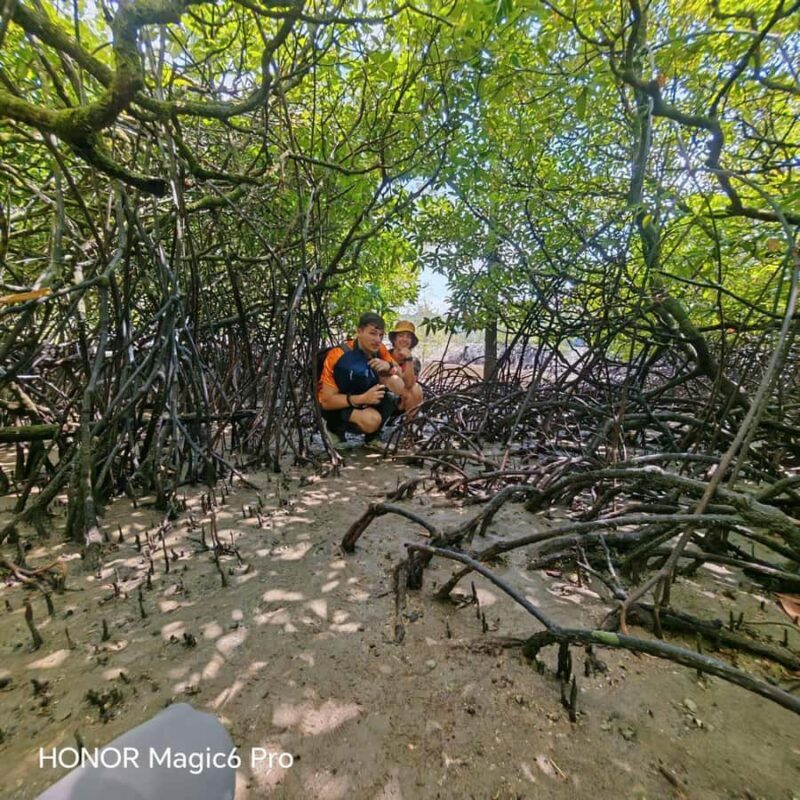Kuching: Bako National Park 2-Day Wildlife Tour - Who Is This Tour Best Suited For?