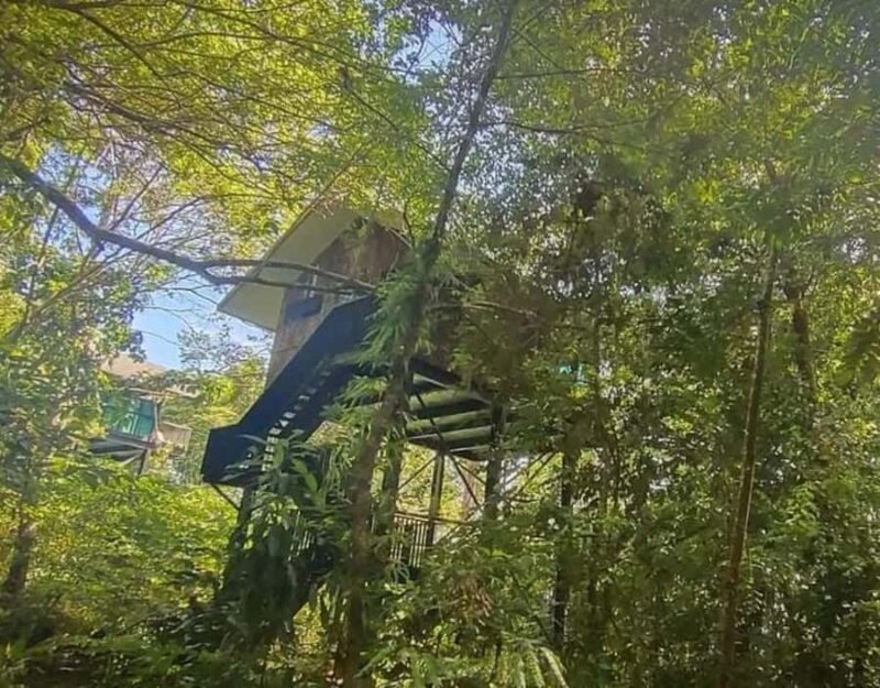 Kuching: Bako Wildlife & Permai Rainforest 2-Day Tour - FAQs