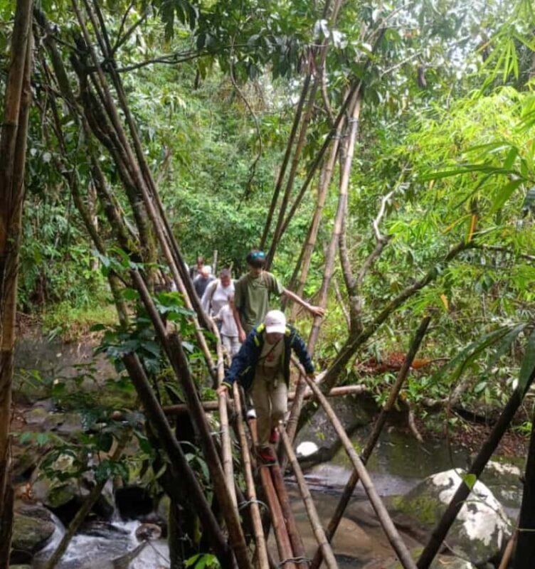 Kuching: Bengoh Valley & Susung Waterfall Day Trip - Why This Tour Works Well