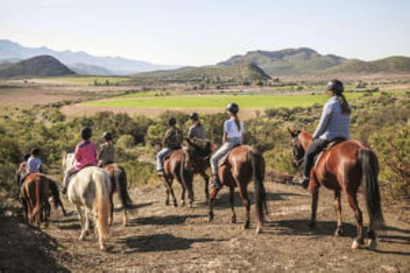 Kudu Trail Horse Riding Experience - Key Points