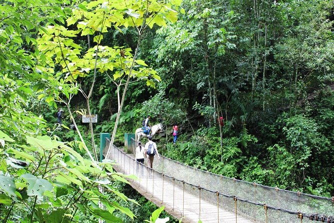 kuelap-chachapoyas-gocta-waterfall-karajia-quiocta-5-days-4-nights