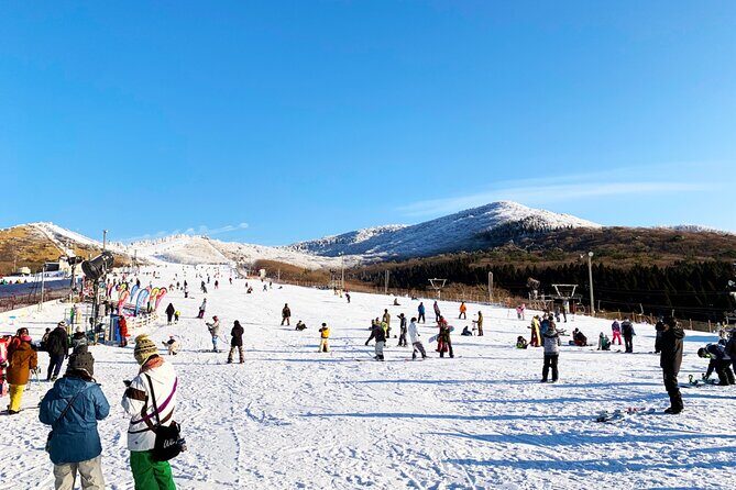 Kuju Forest Park Skiing Grounds Day Tour from Fukuoka - Key Points