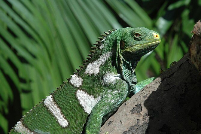 Kula Eco Park Admission - The Sum Up