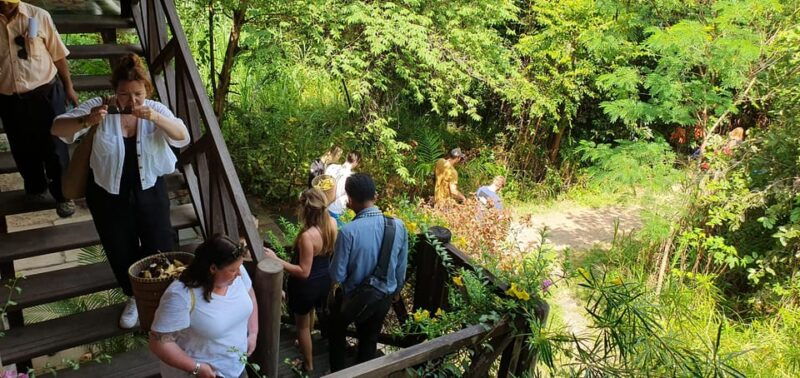 kulen-elephant-forest-and-banteay-srei-temple-tour