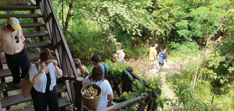 kulen-elephant-forest-and-banteay-srei-temple-tour