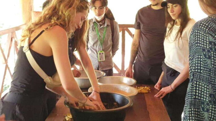 kulen-elephant-forest-and-banteay-srei-temple-tour