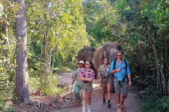 Kulen Elephant Forest and Tonle Sap Lake by Private Tour - Exploring Cambodia’s Natural and Cultural Gems: Kulen Elephant Forest and Tonle Sap Lake Private Tour