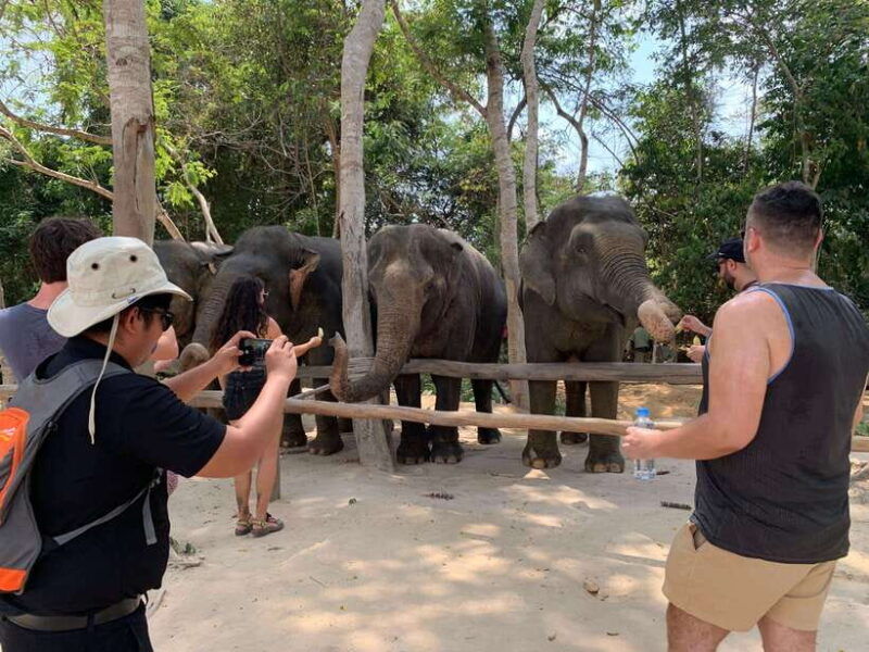 kulen-elephant-forest-tonlesap-lake-include-boat-transfer