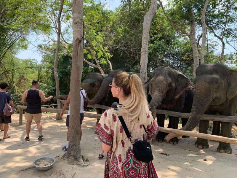 kulen-elephant-forest-tonlesap-lake-include-boat-transfer