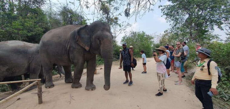 kulen-elephant-forest-tonlesap-lake-include-boat-transfer